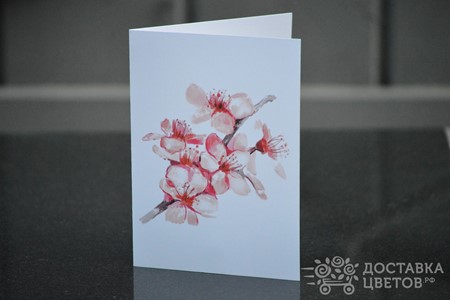 Цветы и открытки